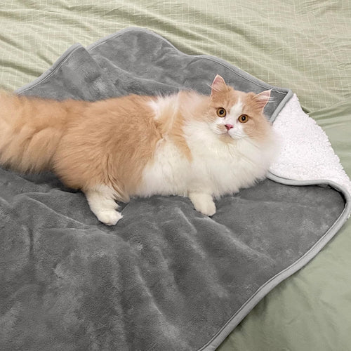 Waterproof Lovers' Blanket