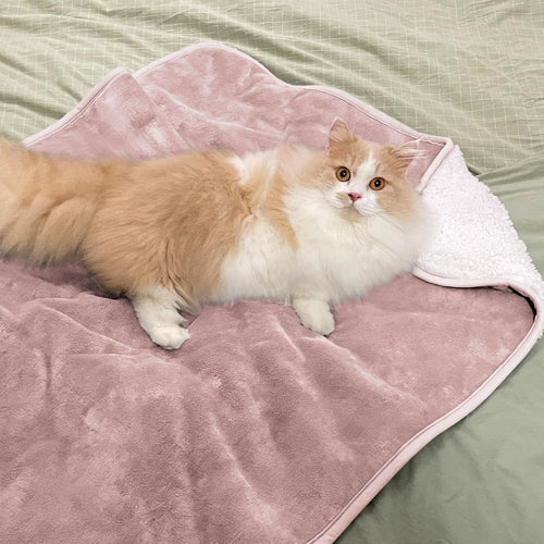 Waterproof Lovers' Blanket