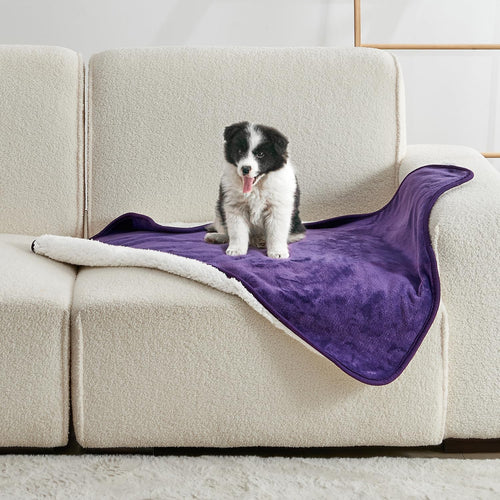 Waterproof Lovers' Blanket