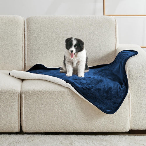 Waterproof Lovers' Blanket