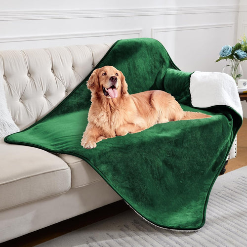 Waterproof Lovers' Blanket