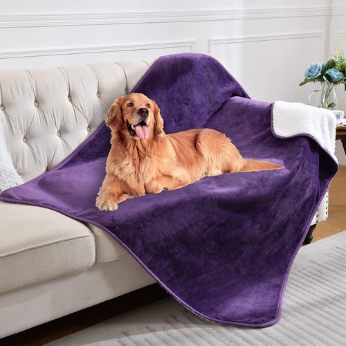 Waterproof Lovers' Blanket
