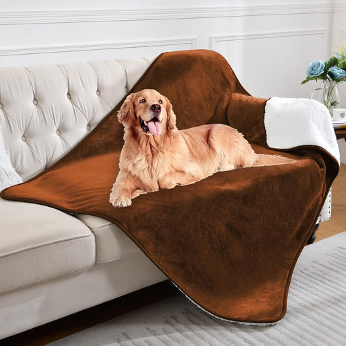 Waterproof Lovers' Blanket