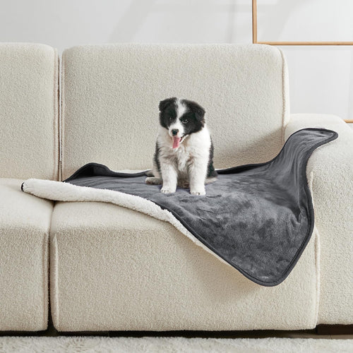 Waterproof Lovers' Blanket