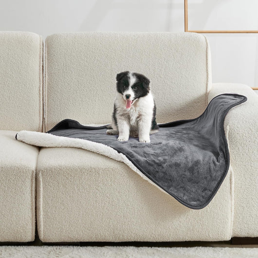 Waterproof Lovers' Blanket