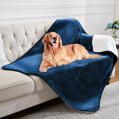 Waterproof Lovers' Blanket
