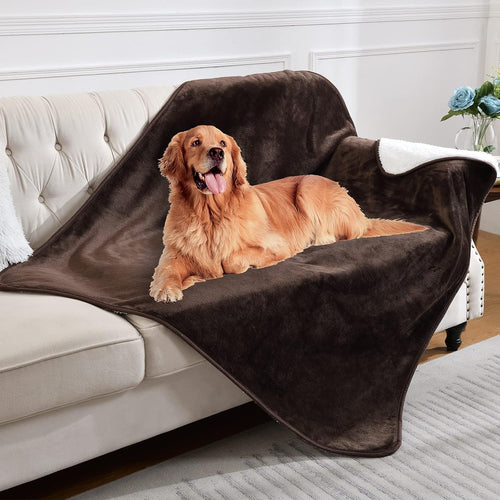 Waterproof Lovers' Blanket