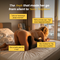 Arcova Sweet Spot Pillow